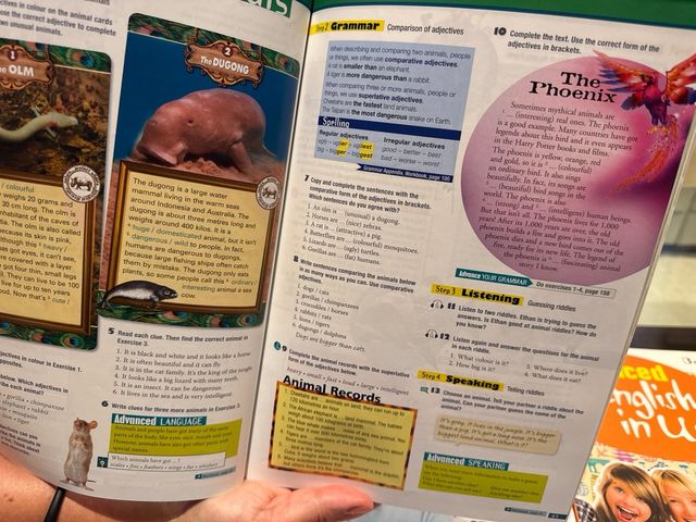 ADVANCED ENGLISH IN USE 1ºESO ST 15