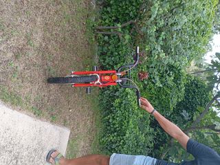 Bicicleta Montesita T5 trials