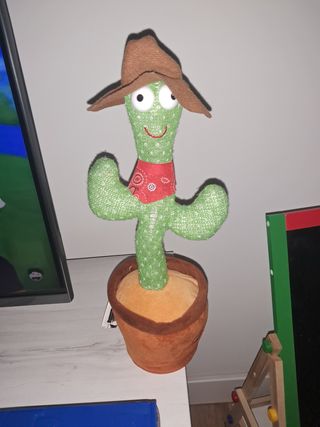 Cactus vaquero musical