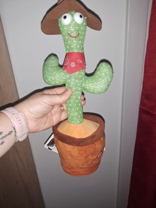Cactus vaquero musical