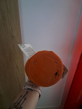 Cactus vaquero musical