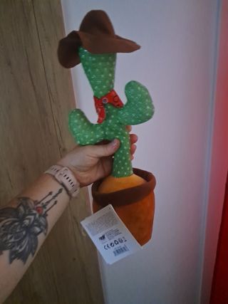 Cactus vaquero musical