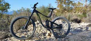 Giant Reign 29 2021
