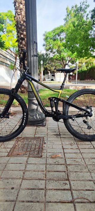 Giant Reign 29 2021
