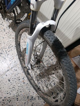 Bicicleta Berg L - MTB