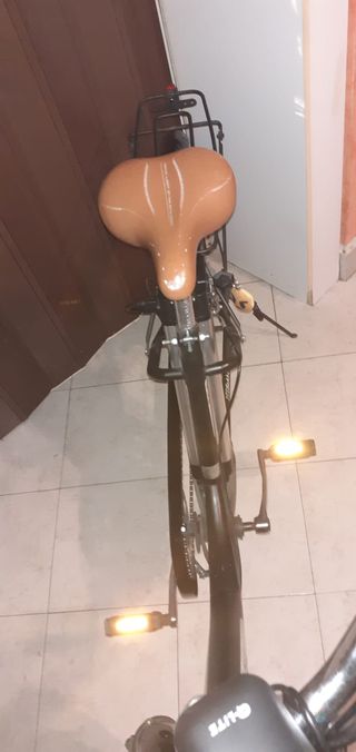 Bicicletta elettrica 7 marce con acceleratore