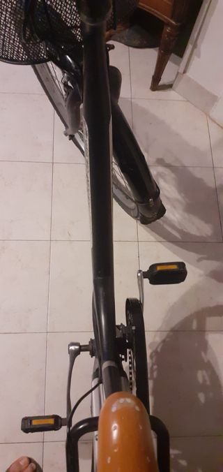 Bicicletta elettrica 7 marce con acceleratore