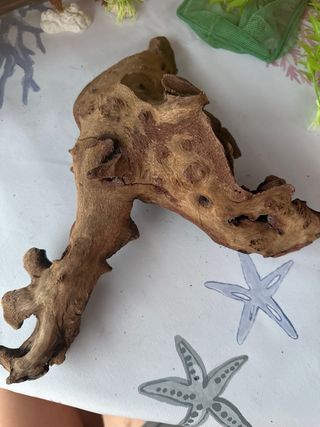 Madera tronco acuario