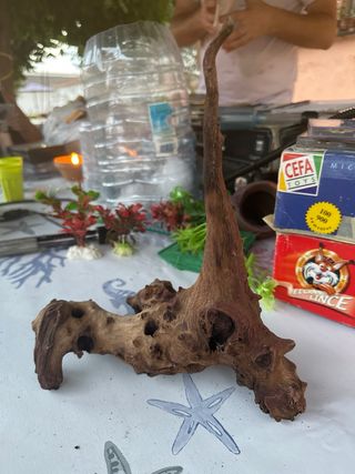 Raíz madera acuario