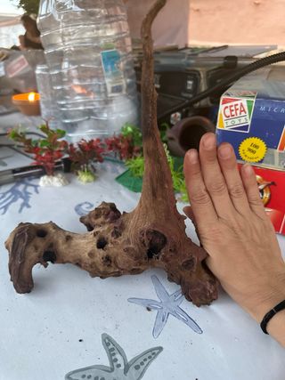 Raíz madera acuario