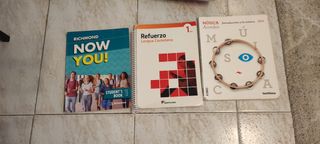 Lote los libros 1 eso de Santillana