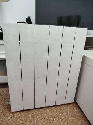 Radiador blanco 6 elementos