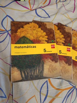 Matemáticas. 5 Primaria. Savia (Spanish Edition)