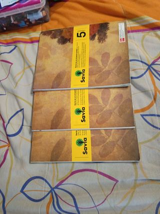 Matemáticas. 5 Primaria. Savia (Spanish Edition)