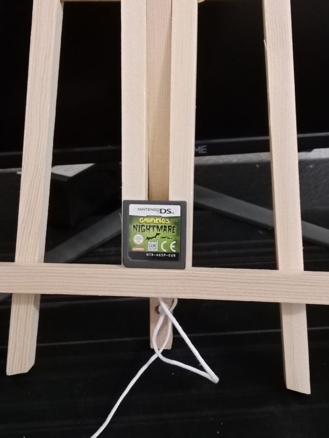 Cartucho ds Garfield nighmare