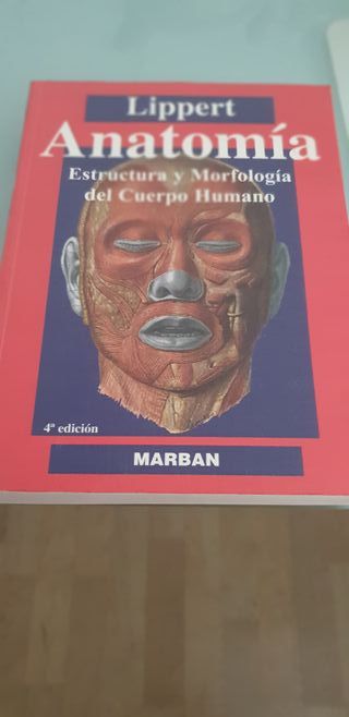 ANATOMÍA