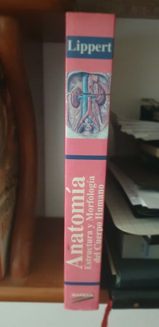 ANATOMÍA