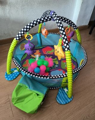 Gimnasio Infantil Tortuga