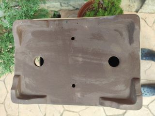 Maceta 30 cm  Bonsái Rectangular Cerámica..