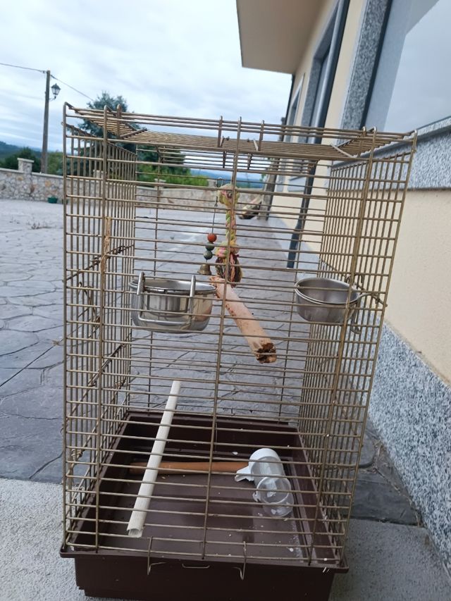 Jaula pajaros grande dorada