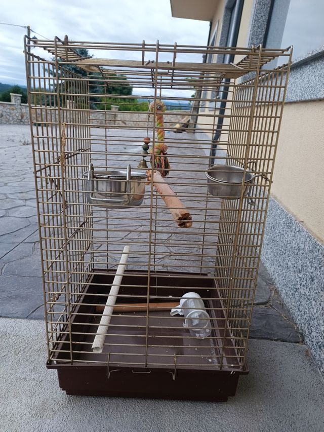 Jaula pajaros grande dorada