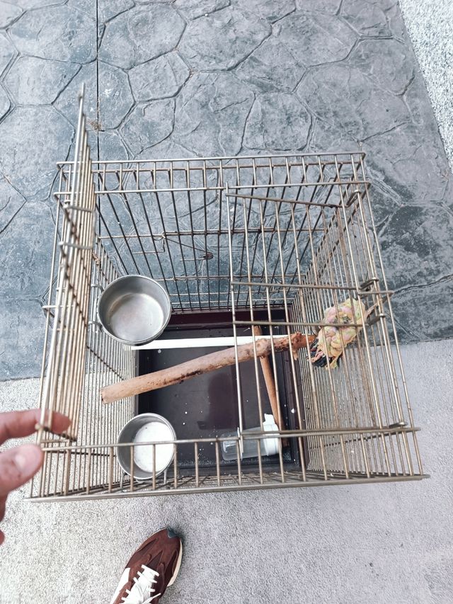 Jaula pajaros grande dorada