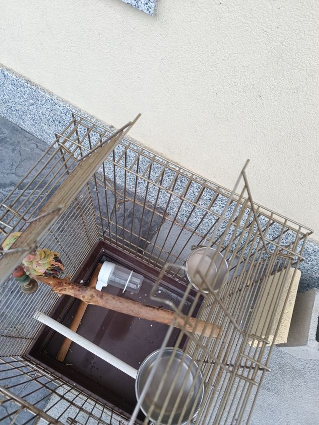 Jaula pajaros grande dorada