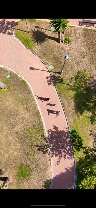 Dron DJI Neo - Blanco