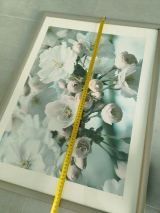 Cuadro Floral IKEA Silverhojden 21675
