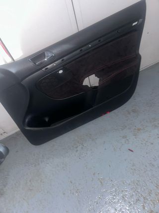 Paneles puerta Golf V