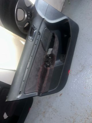 Paneles puerta Golf V