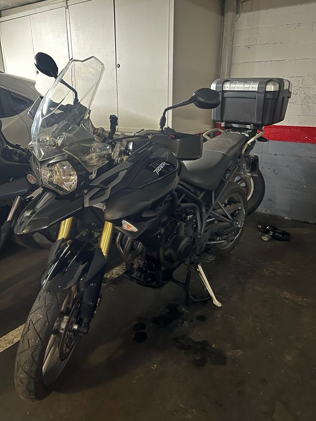 Triumph Tiger 800 ABS - Moto