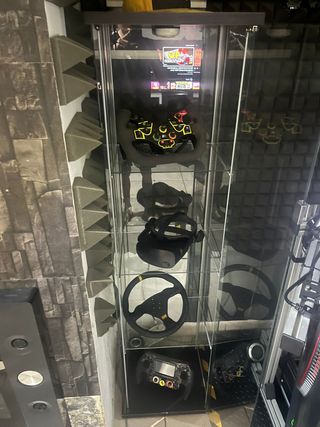 Simulador de carreras completo