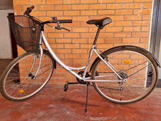 Bicicleta paseo, plata