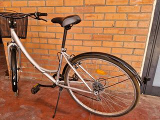 Bicicleta paseo, plata