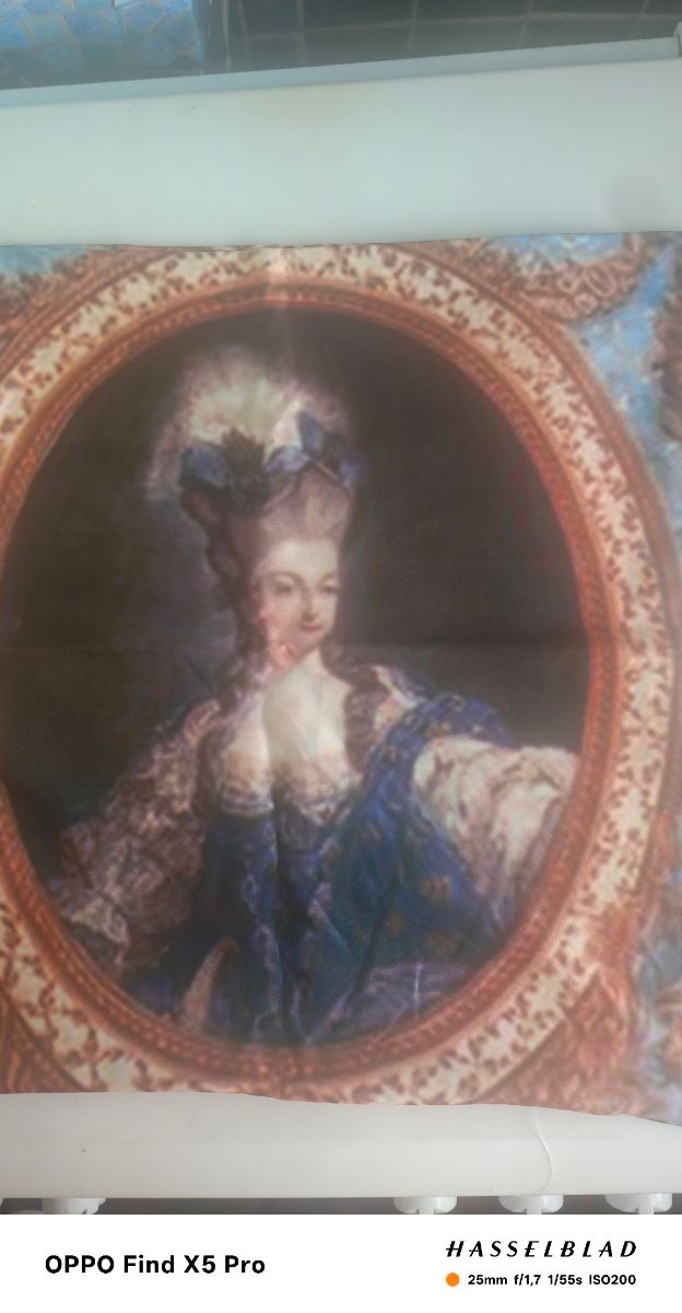 Cuscino Maria Antonietta