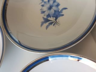 6 Ciotole Porcellana Blu-Bianco