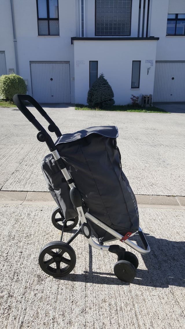 NUOVO Carrello della spesa pieghevole