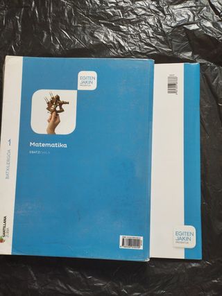 Matematika, 1 Batxilergoa
