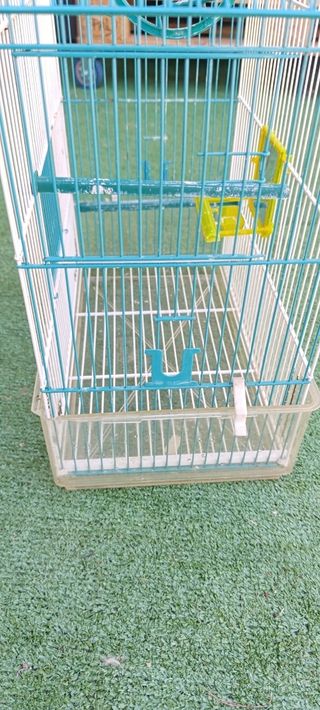 Jaula pájaros - Verde y Blanca