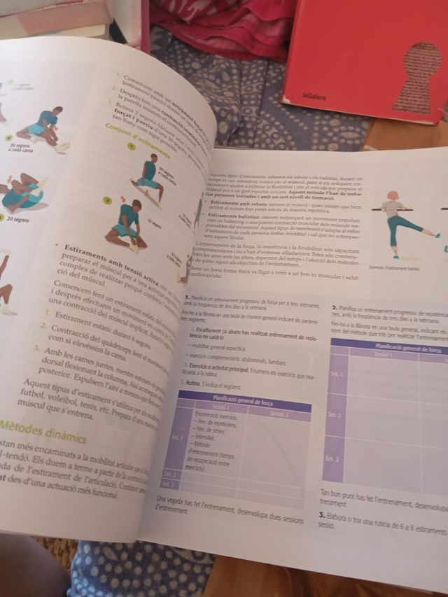 Impuls. Educació física 1. Batxillerat (2016)