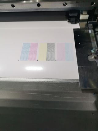 Plotter Roland Impresión