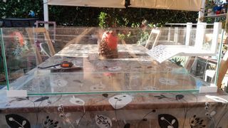 Acquario tartarughe - Vetro