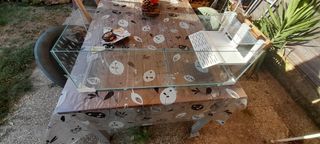 Acquario tartarughe - Vetro