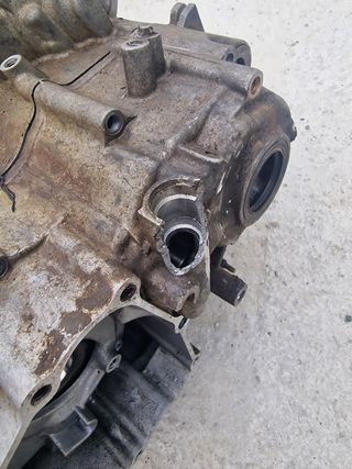 Carter motor YFZ450