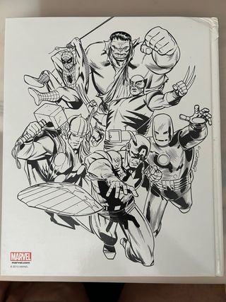 Marvel Cronica Visual Definitiva