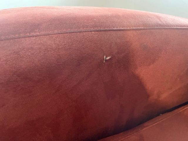 Sofá Chaiselong granate