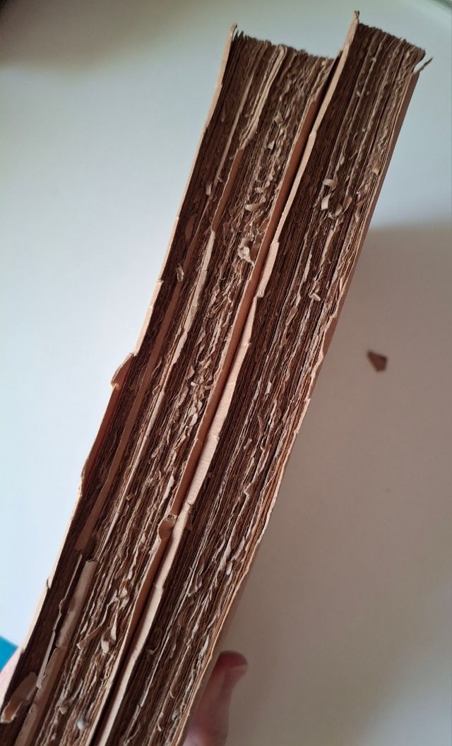 Libro de Emilia Pardo Bazán