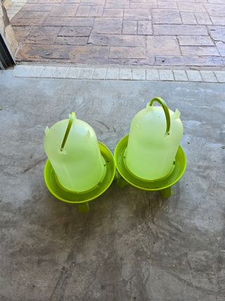 Bebedero automático gallinas
