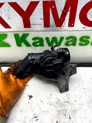 Cuerpo mariposa 1.6 HDI usado